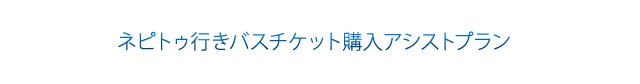 �l�s�g�D�s���o�X�`�P�b�g�w���A�V�X�g�v����